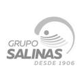 Logo Grupo Salinas