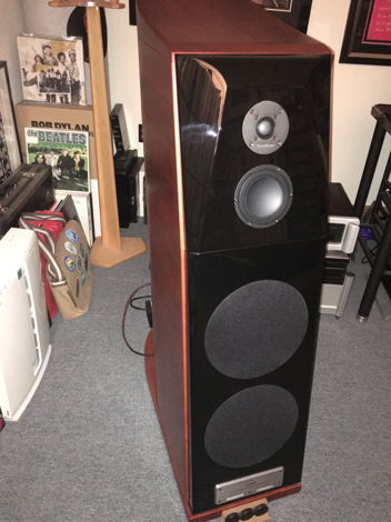 Usher audio BE-20 Floor standing loudspeaker