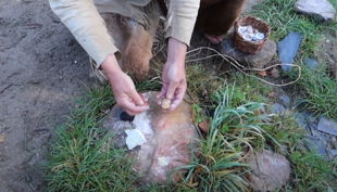 bildschirmfoto wwwyoutubecom