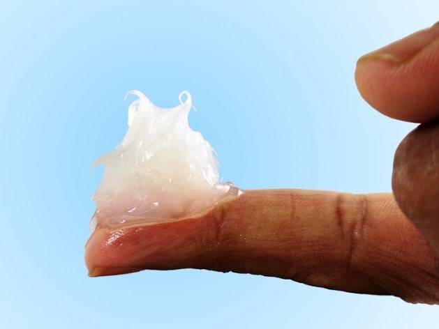 Which Lube To Use With Your Pocket Pussy | SxDolled