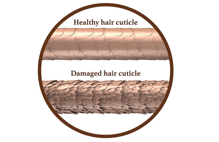 Healthy and damage hair cuticule