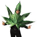 Man in a big cannabis leaf costume covering your upper body