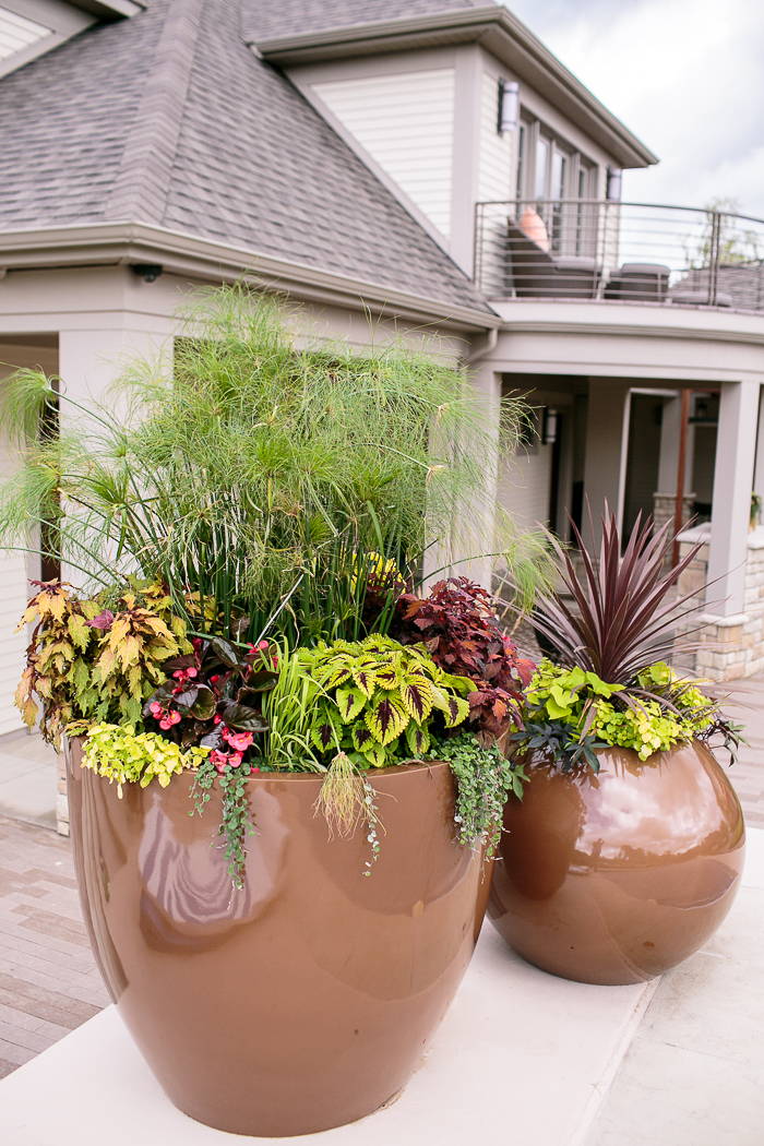 Large Planters created by stacy K floral.  Oversized container gardens of annual flowers and plants