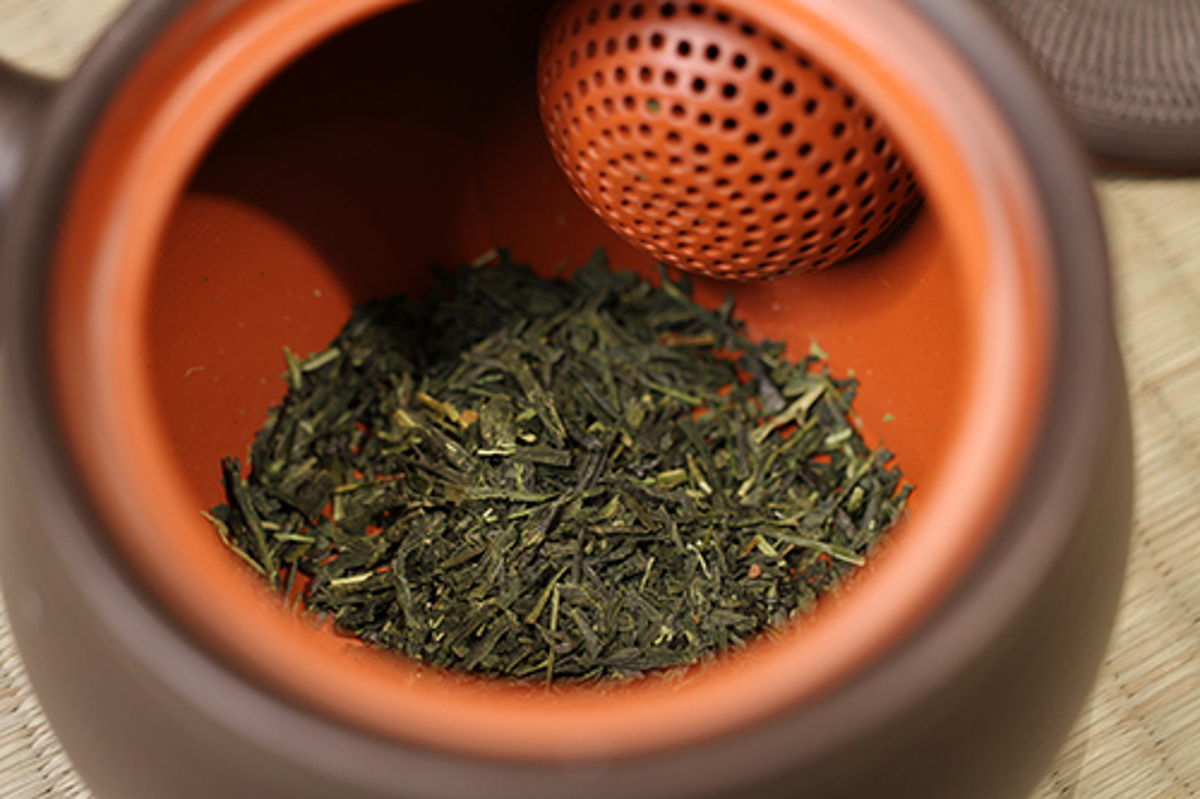 Loose leaf green tea in a Tokoname kyusu teapot