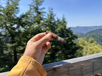 Nice ash!
