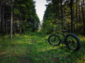 Fat bike électrique d'occasion : tour d'horizon des modèles disponibles sur le marché français