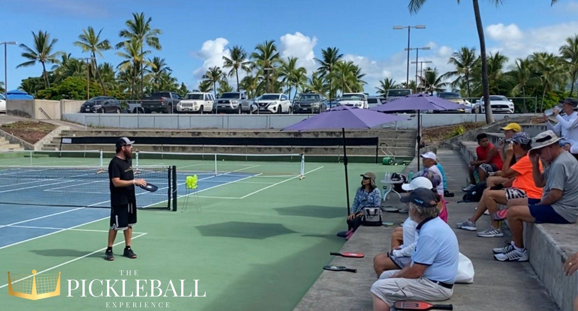 THE PICKLEBALL EXPERIENCE- WORKSHOP- CLINIC- DRILLS- INSTRUCTION- KONA- HAWAII-4- BRIAN ASHWORTH