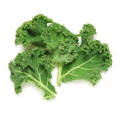 Trulean Ageless Super Greens Powder - Kale