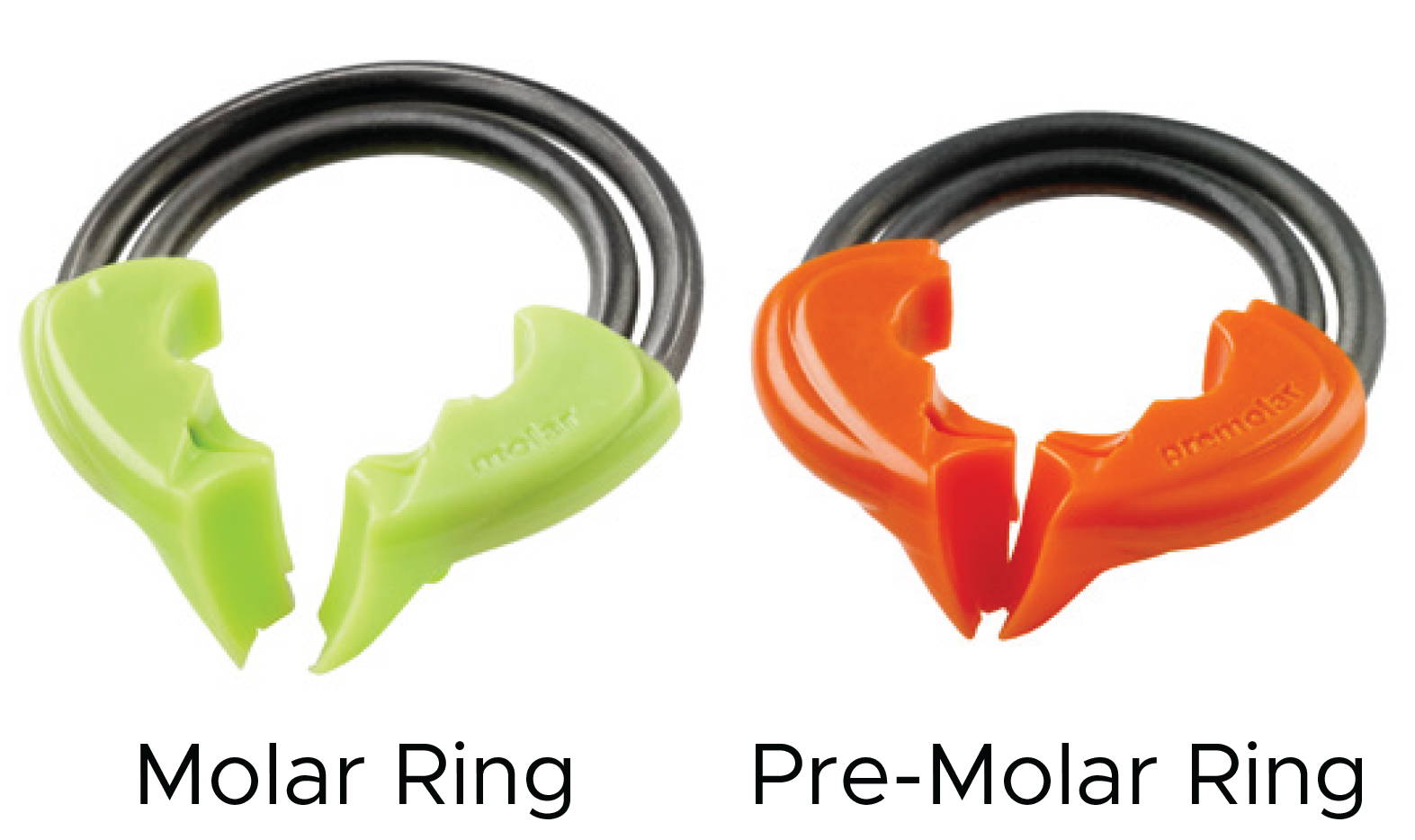 Molar and Pre-Molar DualForce matrix rings