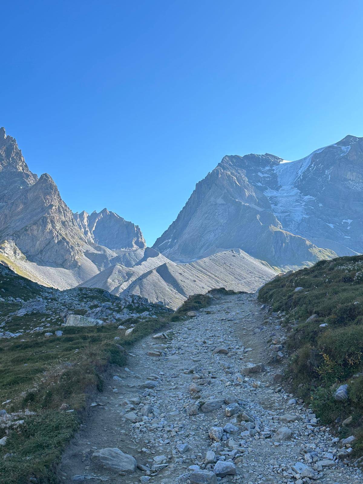bouquetins-montagne-randonnée-de-la-grande-moucherolle