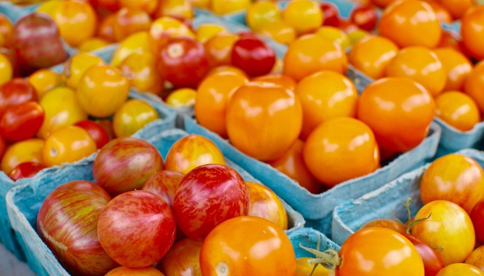 Dane County Farmers’ Market