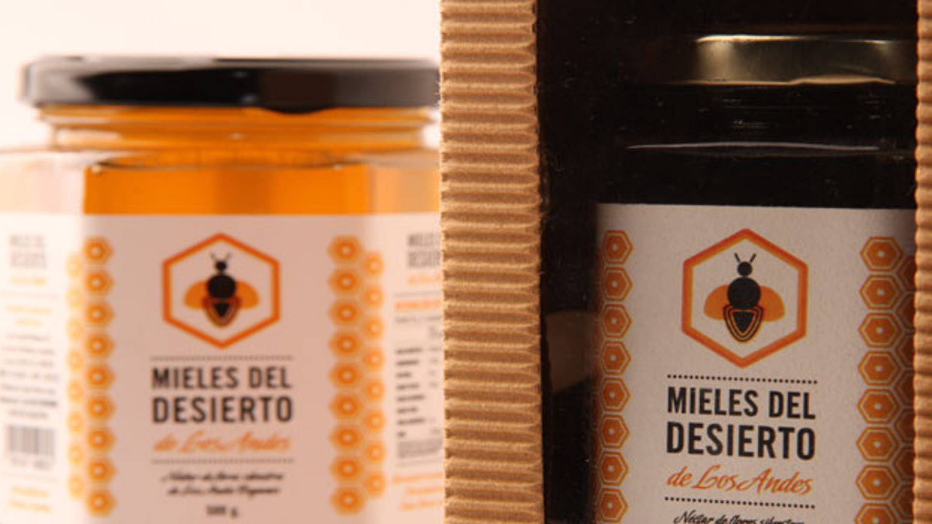 Featured image for Honey Concept: Mieles del Desierto de los Andes