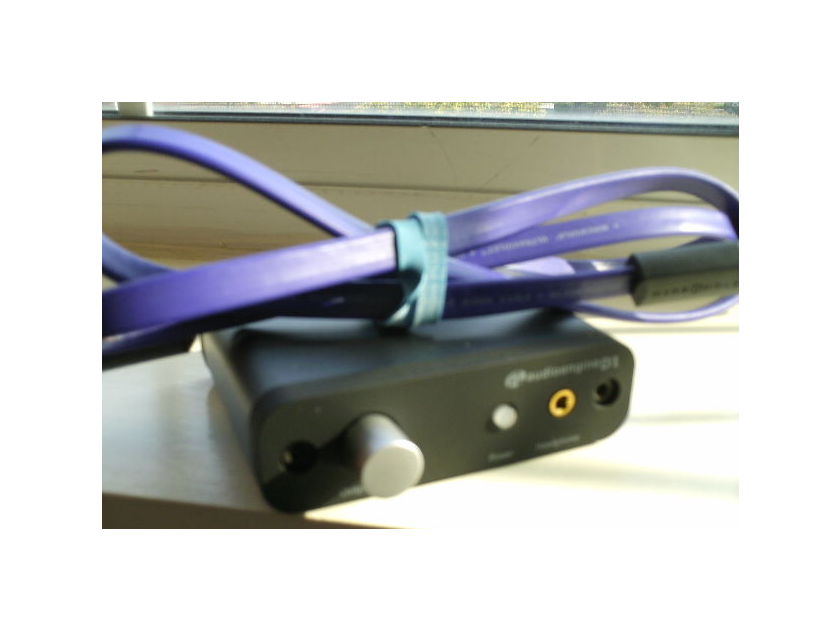 Audioengine D1 Premium USB DAC 24 bit, 24/192 capable + Wireworld USB Cable