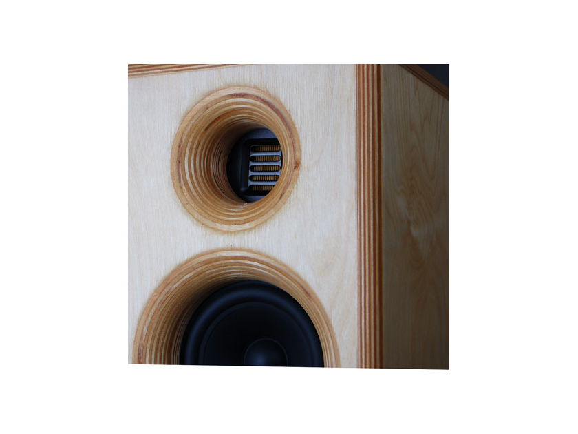 Wavetouch Audio... Antero speaker - - -  Scratch Damage (on back panel)