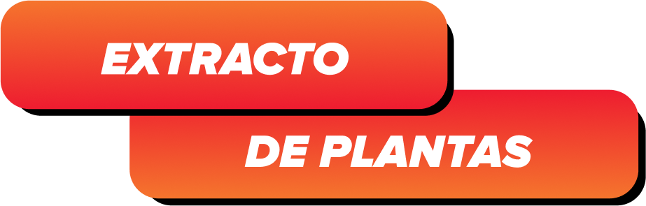 EXTRACTO DE PLANTAS