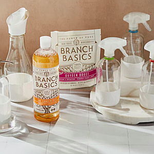 Branch Basics Premium Starter Kit in Glass