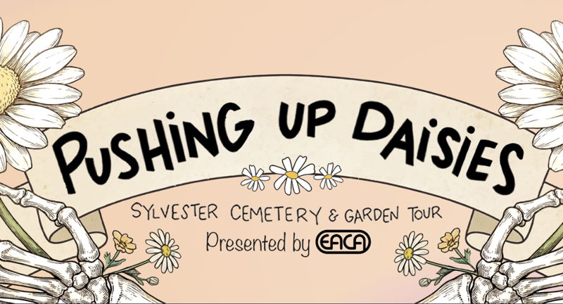 Pushing Up Daisies