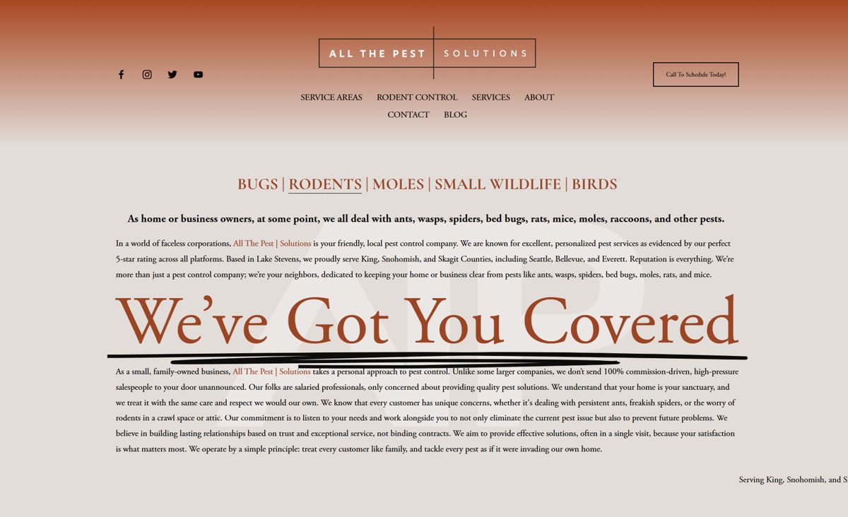 Screenshot of All The Pest | Solutions, from the pest control websites collection.