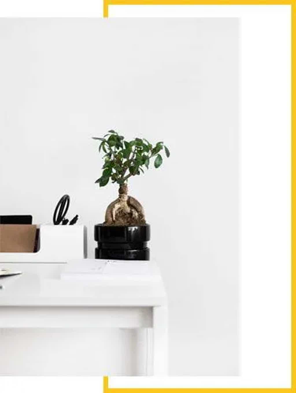 Small office desk with a potted plant on stacked black containers, white walls, and minimal clutter.
