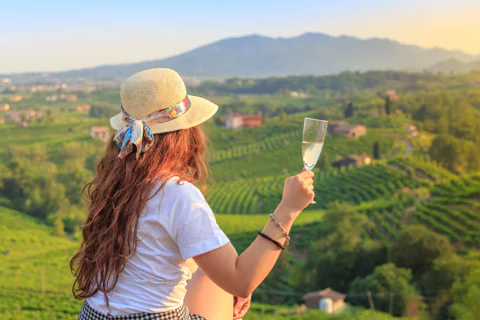 Semi-private Prosecco Wine Tour from Venice
