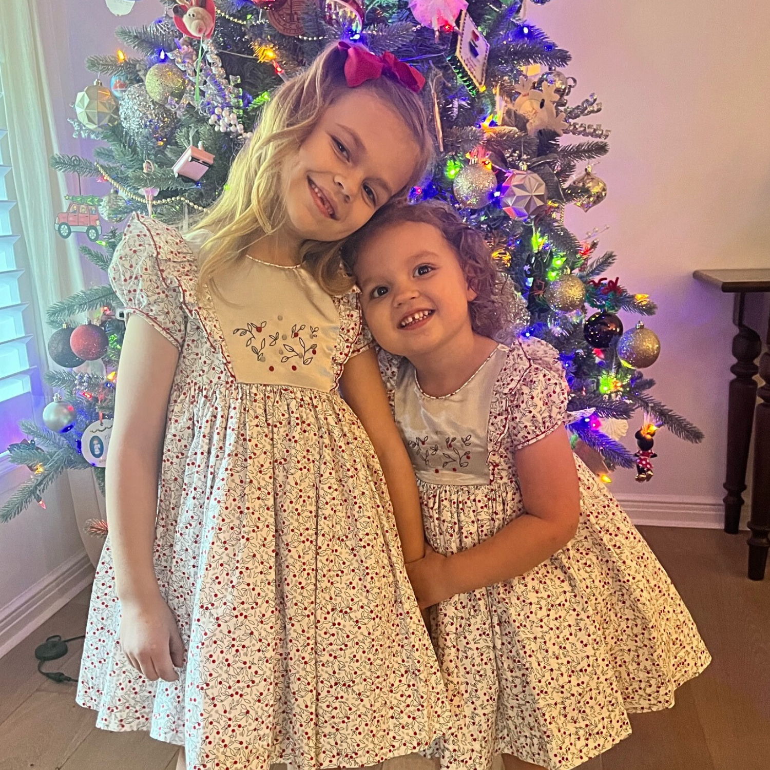 Silver party smocked dress