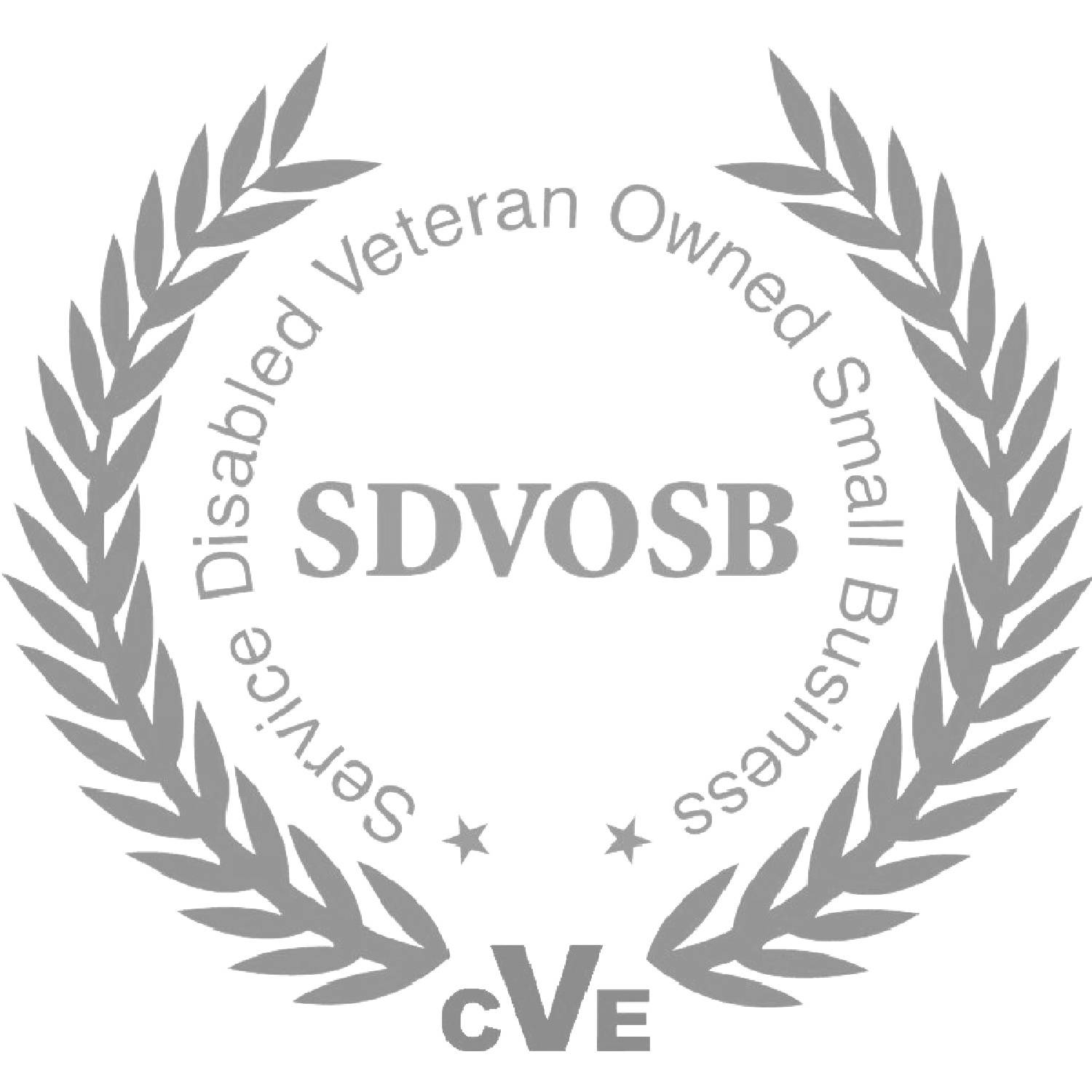 Service Disabled Veteran Owned Business