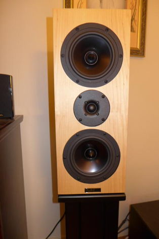 Tyler Acoustics D3MXs Suitable for gifting!  Stands inc...