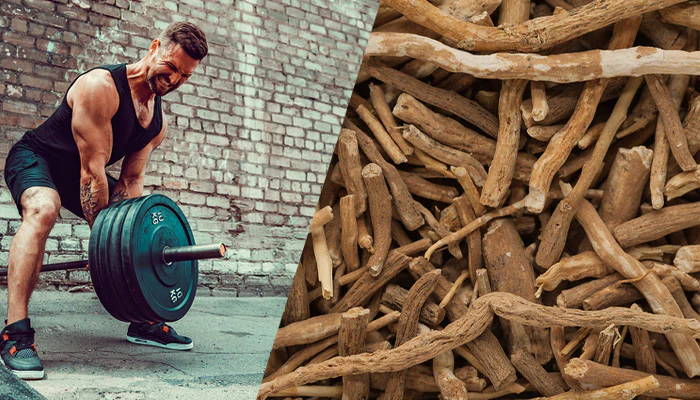 Does Ashwagandha Increase Testosterone Does Ashwagandha Increase Testosterone