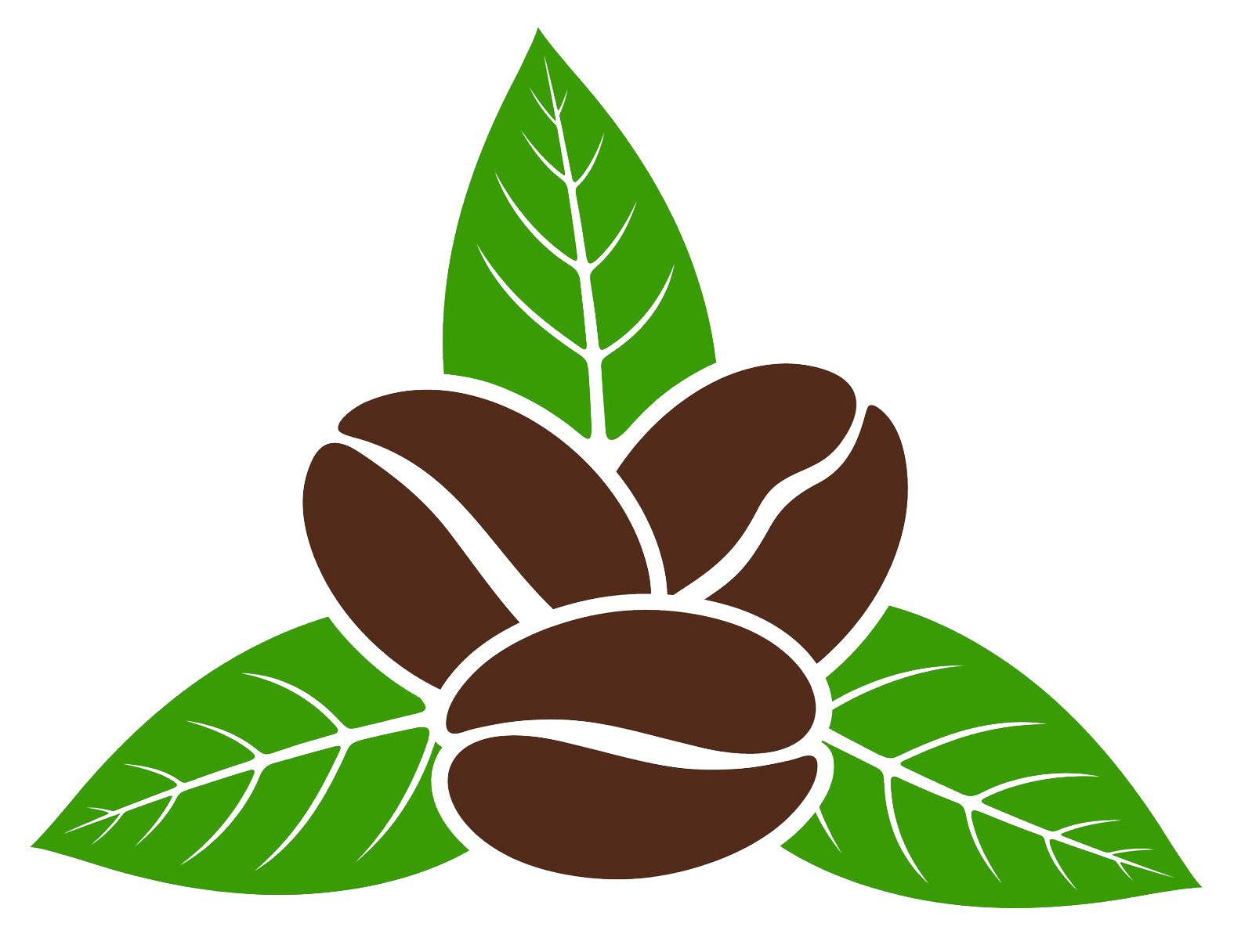 Xena Nutrition MetaBoost natural ingredient green coffee bean