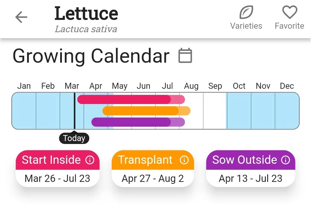Screenshot of the lettuce growing calendar in Planter