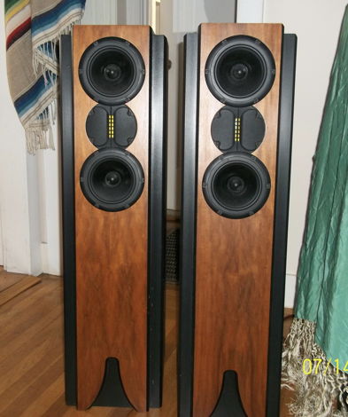 Decware MG944 MTM speakers