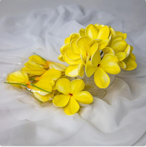 Bowen Frangipani Flowerhead (6 Pack) - Realistic Artificial Flowers
