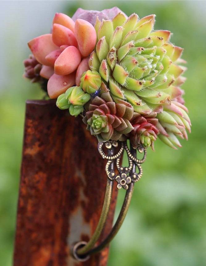 succulent cuff bracelet corsage wedding wrist