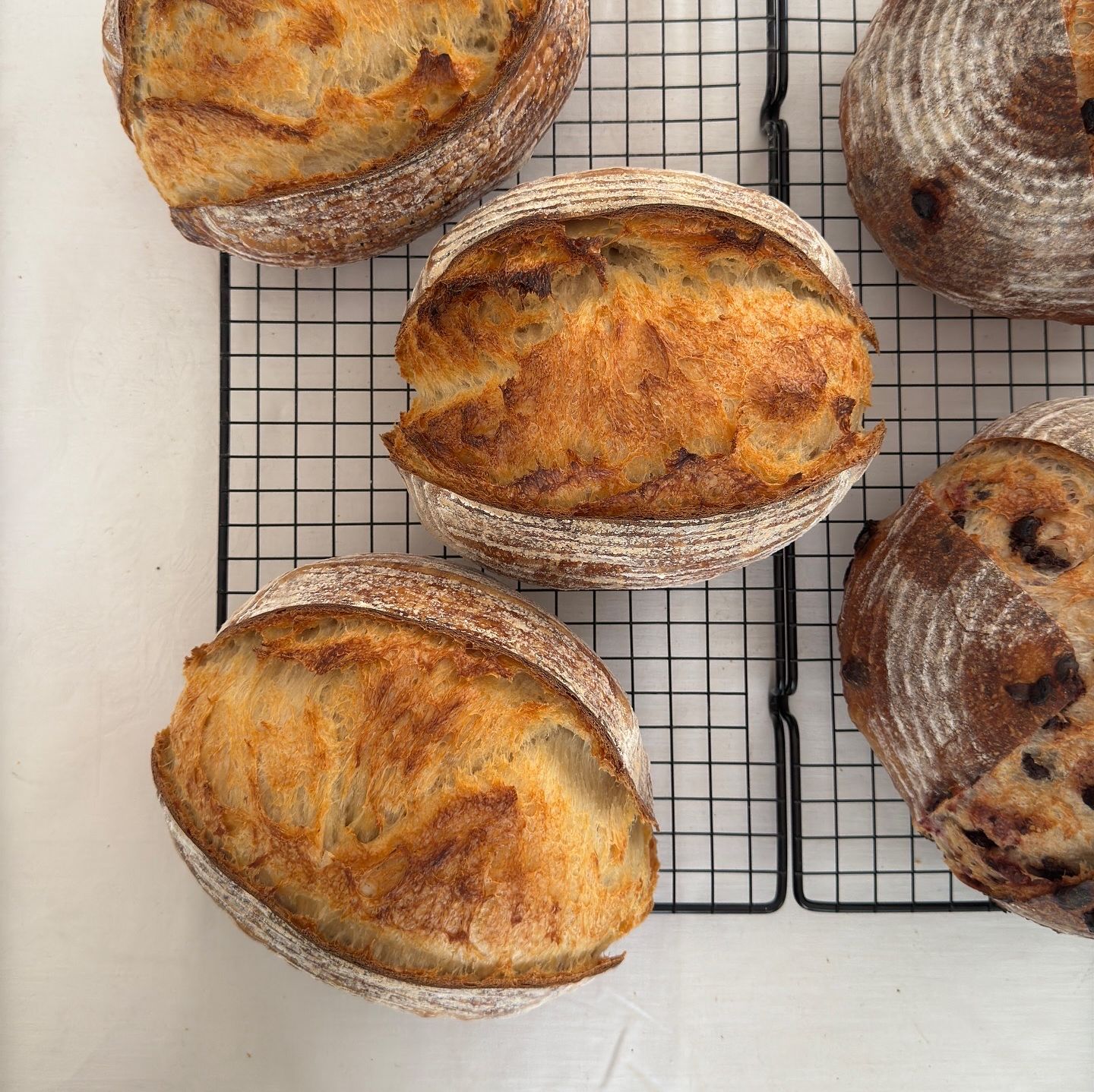 Sourdough Bread Co. |Lily•Zaharia| — photo from hotplate.com