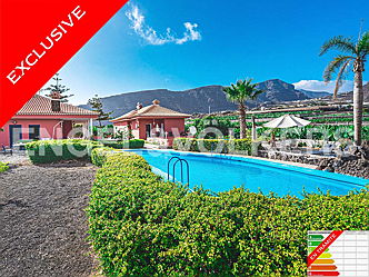  Costa Adeje
- Property for sale in Tenerife: Finca for sale in Los Gigantes, Tenerife South