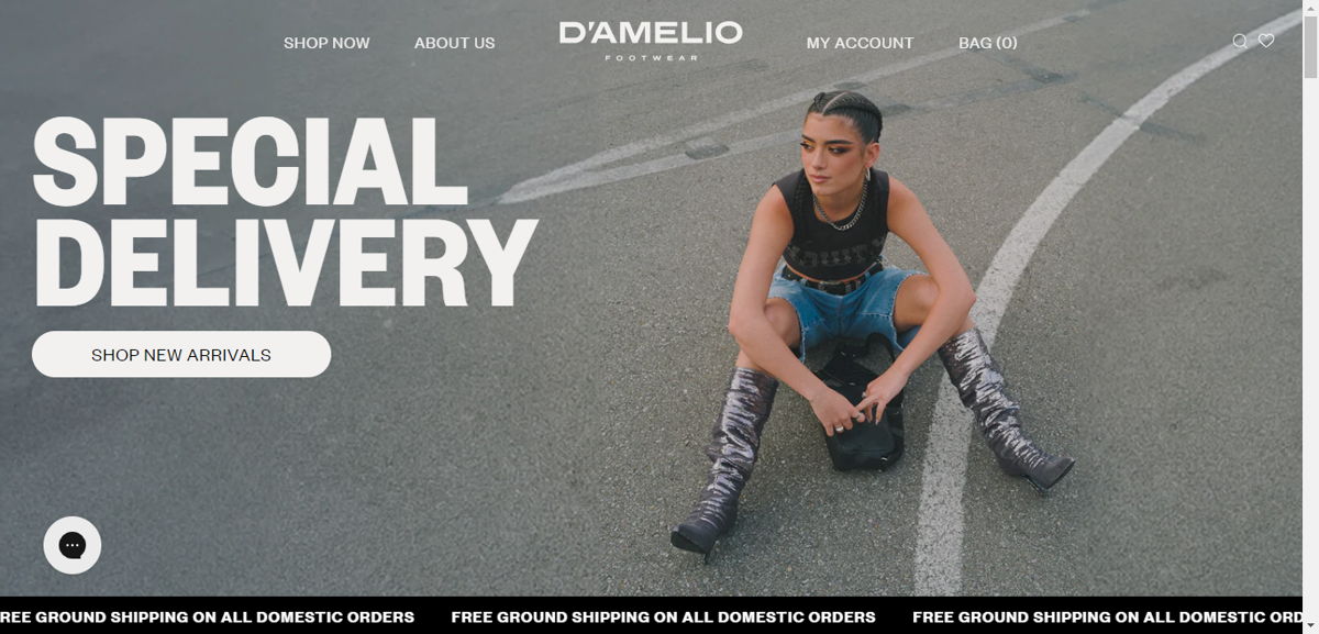 Screenshot of D'Amelio Footwear, from the influencer websites collection.