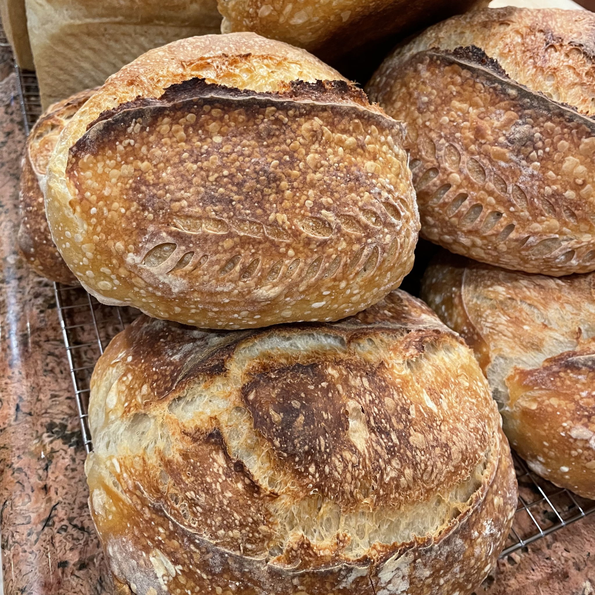 Anna’s Fresh Sourdough Artisan Bakery — photo from hotplate.com