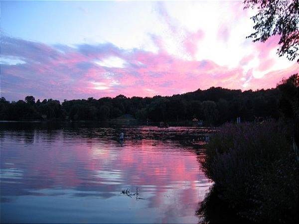 View of the Lake