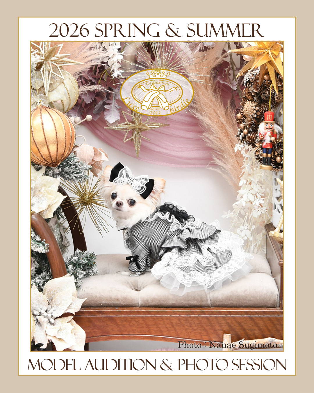 Luxebirdie（リュクスバーディ）|小型犬とのリュクスな生活を楽しむ