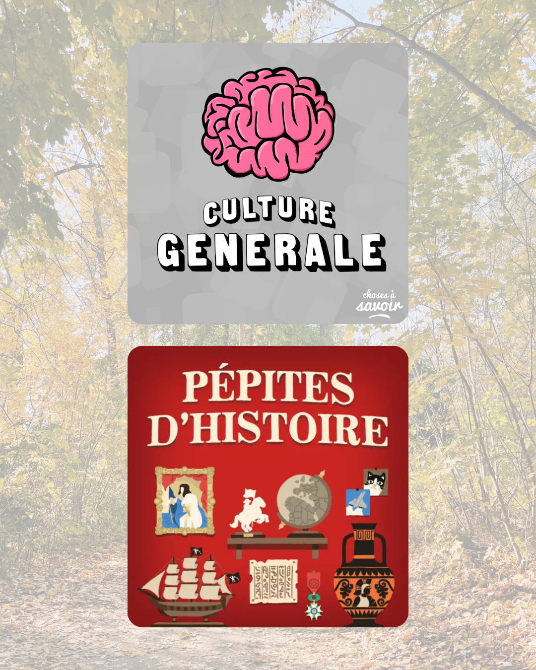 roadtrip - automne - spot - paysage - indispensable - plaid