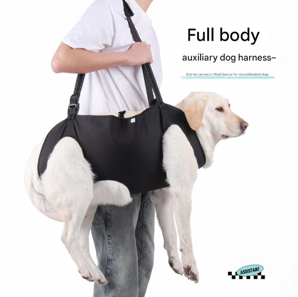 Turquoise Green Pet Support Harness for Senior and Disabled Dogs - Adjustable Chest and Back Support Leash - Image 2