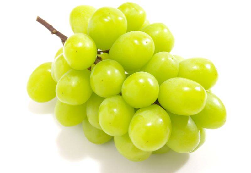 シャインマスカット保存方法