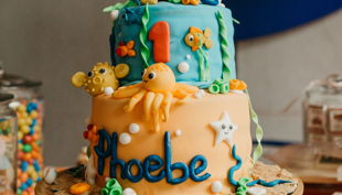 phoebe s first birthday party whitney justesen photography