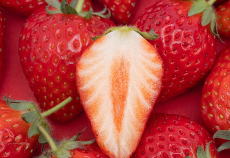 とちおとめ 特徴