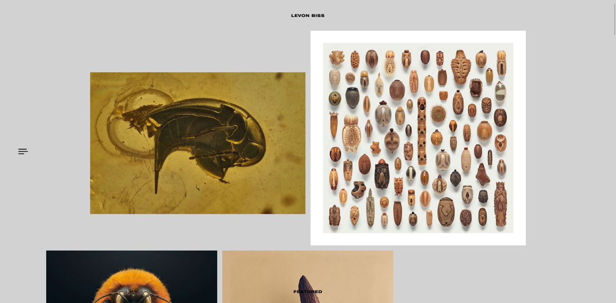 Screenshot of Levon Biss, from the squarespace photography websites collection.