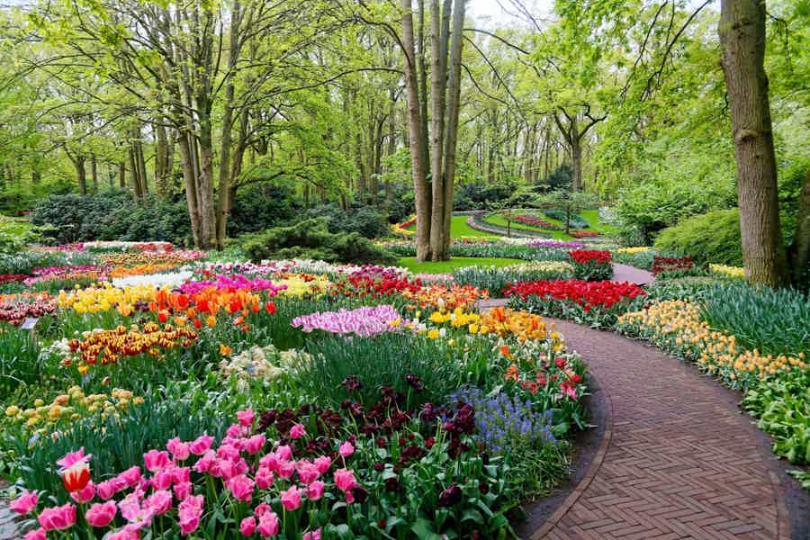 Amsterdam: Keukenhof Entry Ticket & Shuttle Bus - Flexible Return - photo 4