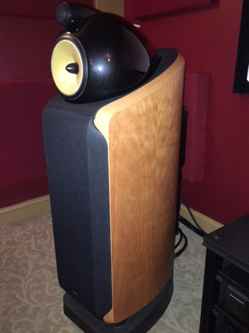 B&W (Bowers & Wilkins) 802D Cherry Finish