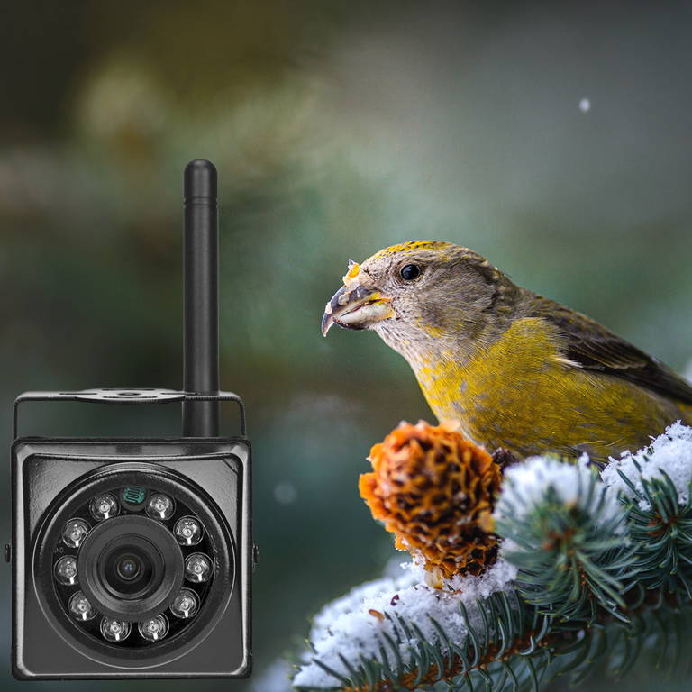 underwater pond camera, ice fishing camera panner, underwater ice fishing camera reviews