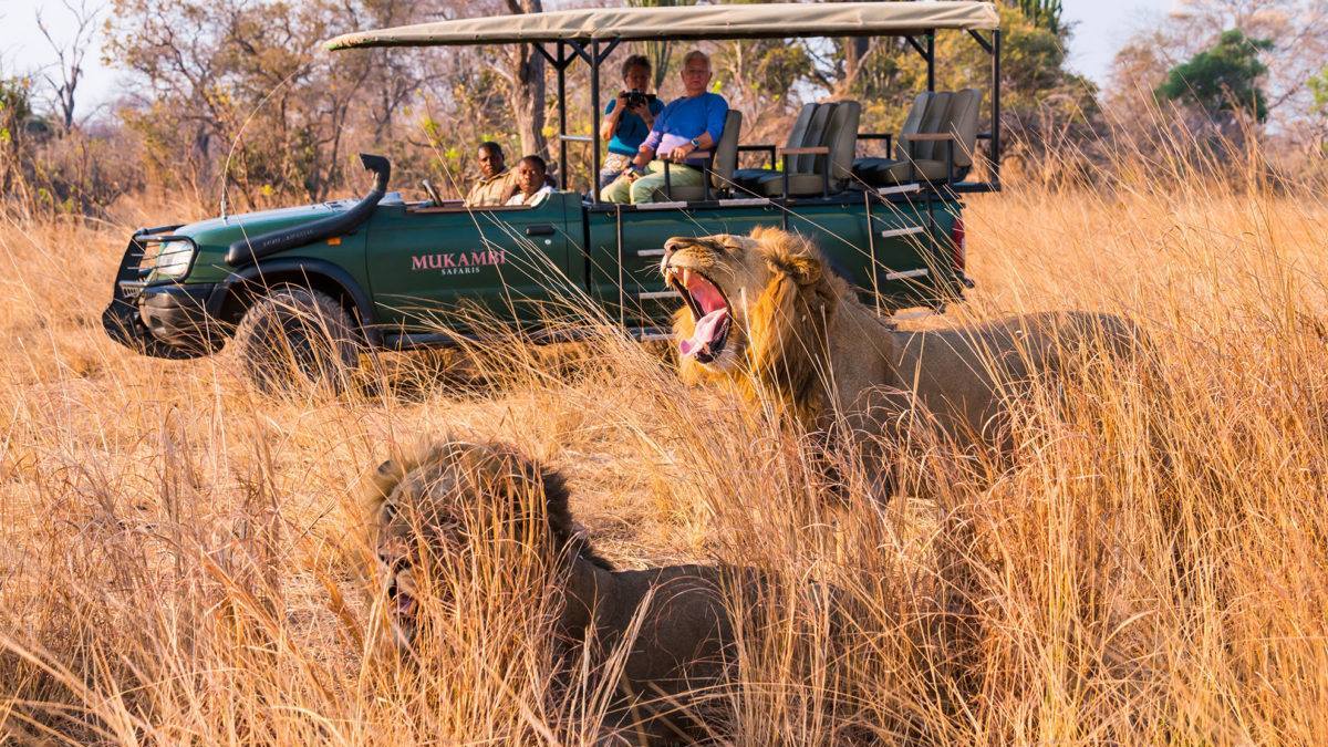 kesho safari tours ontario