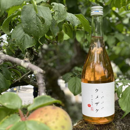秦野の梅をふんだんに使ったウメザケが今年も販売致します